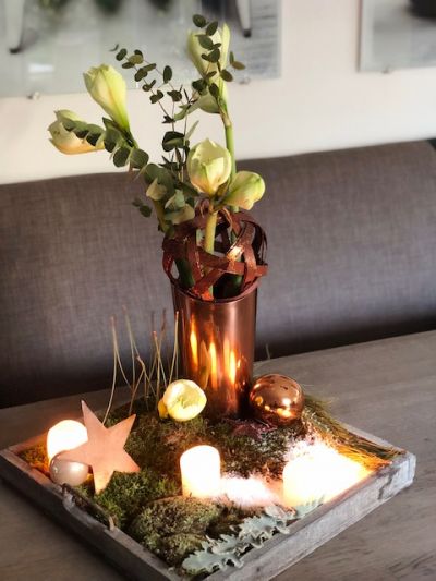 Advent Advent Amaryllis