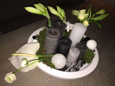 Advent Advent Amaryllis