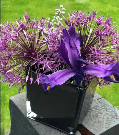 Allium trifft Iris blau lila deko