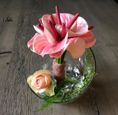 Anthurien modern ausgefallen pink Rose