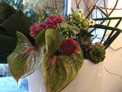 Anthurienarrangement