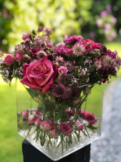 Astrantia Ma Pink Pride Strauß