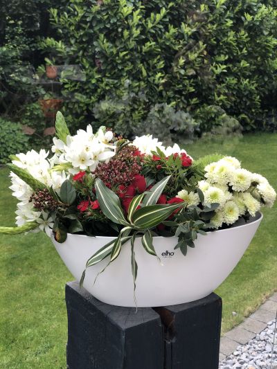 Blumenkreation weiß rot