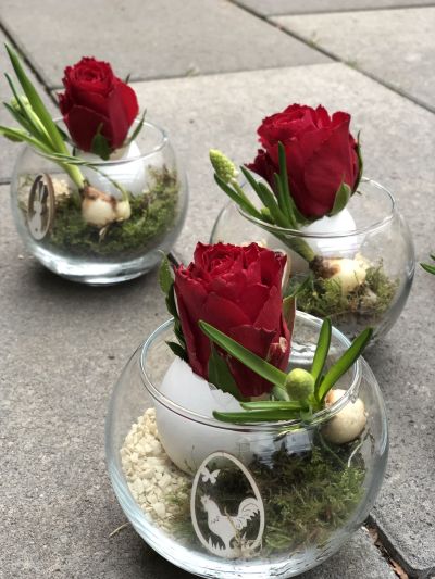 Blumenzwiebel Deko etwas ausgefallen