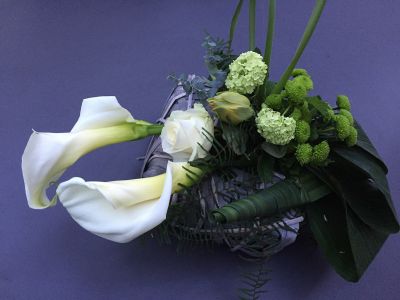 Calla weiss appartes Gesteck