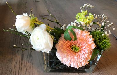 Gerbera Rosa Rose Floristik