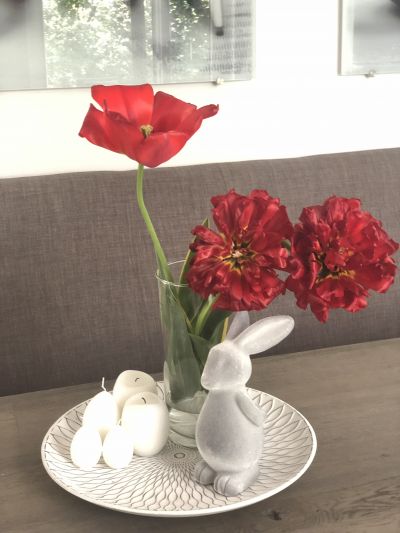 Osterhase Tulpen & Co