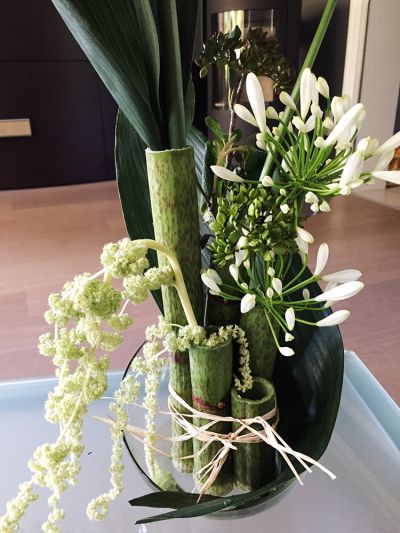 Superlative Agaphantus Schmucklilie weiss