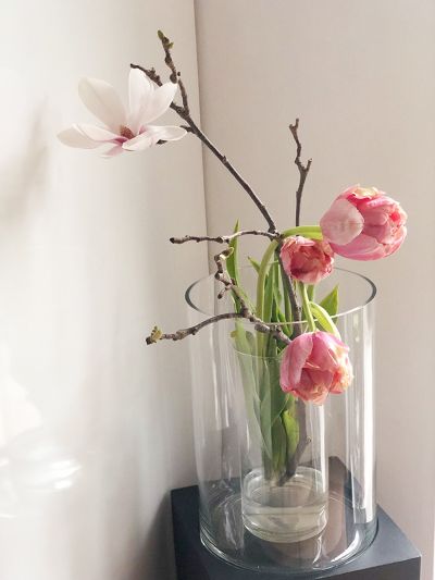 Tulpe Magnolie Windlicht