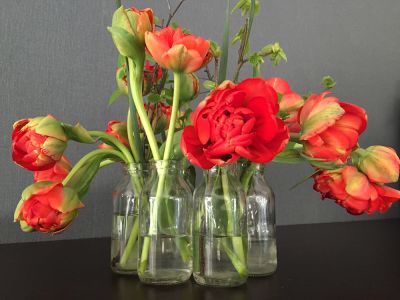 Tulpen rot Gläschen Vase