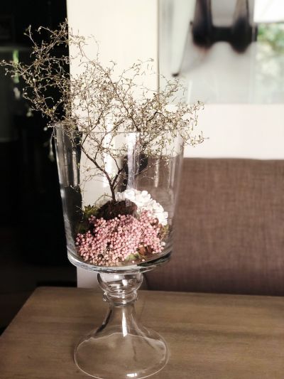 Zickzackstrauch in Szene gesetzt Moers