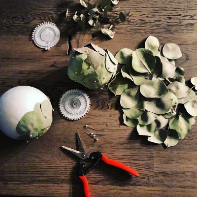 Eukalyptus getrocknet Kugel aus Eukalyptus