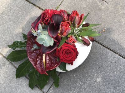 rotes Allerlei Dekoration der besonderen Klasse